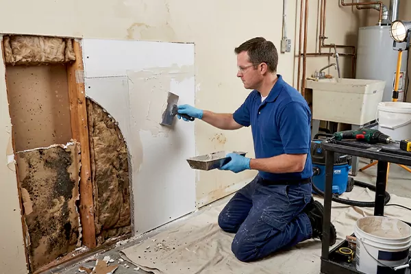 Mold and Drywall Repair Perris