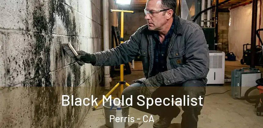  Black Mold Specialist Perris - CA