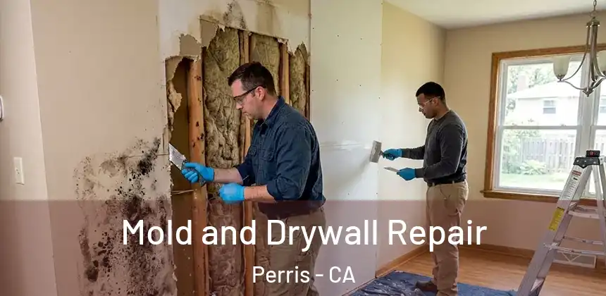 Mold and Drywall Repair Perris - CA