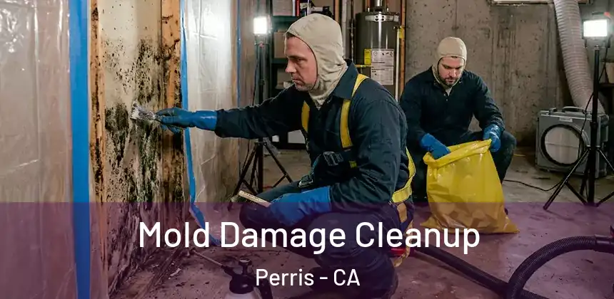  Mold Damage Cleanup Perris - CA