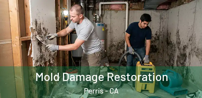 Mold Damage Restoration Perris - CA