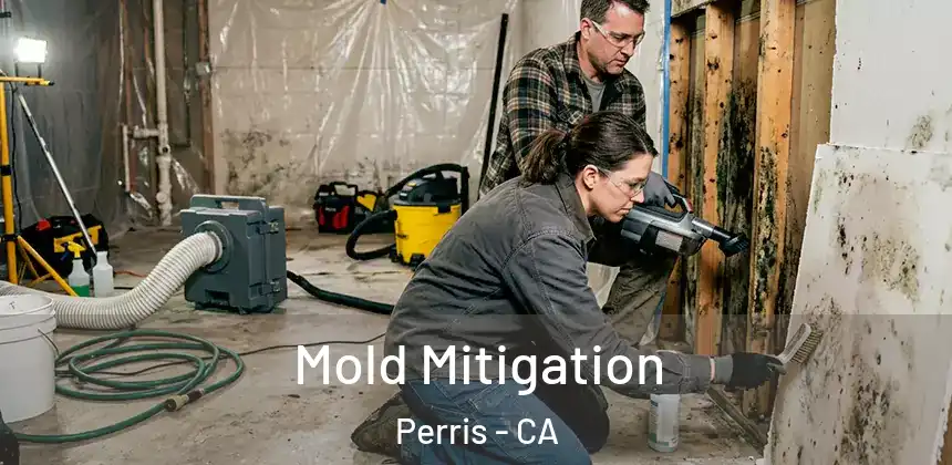 Mold Mitigation Perris - CA