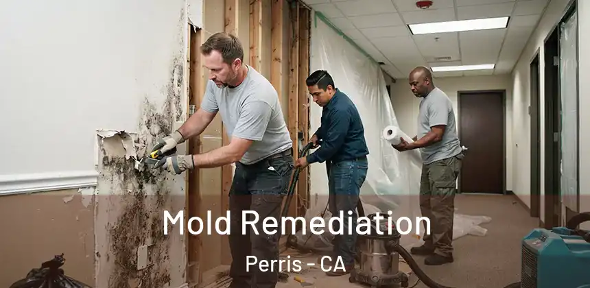 Mold Remediation Perris - CA