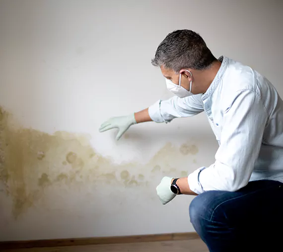 Mold Removal Service in Perris, CA