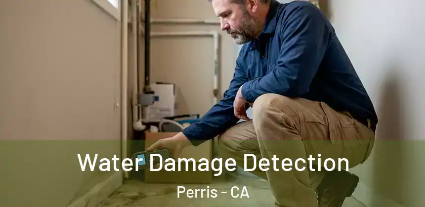  Water Damage Detection Perris - CA