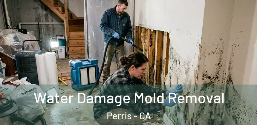  Water Damage Mold Removal Perris - CA